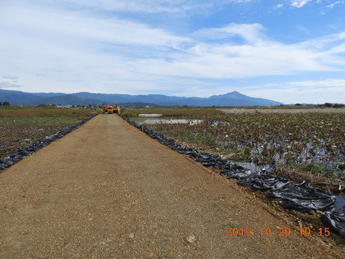 DSCN9772.JPG