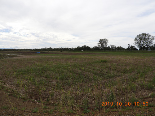 DSCN9778.JPG