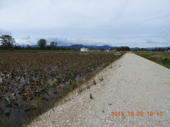 DSCN9777.JPG