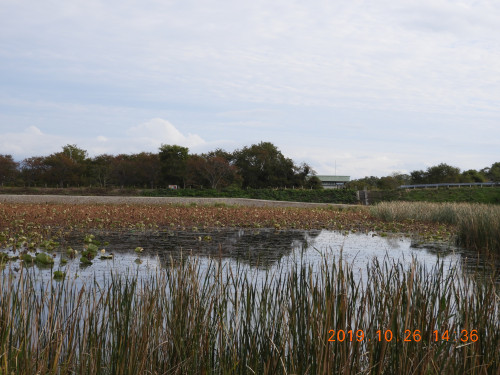 DSCN9787.JPG