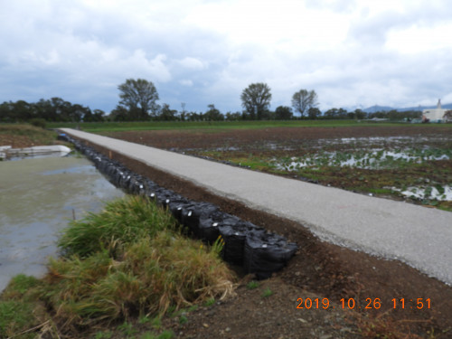 DSCN9782.JPG