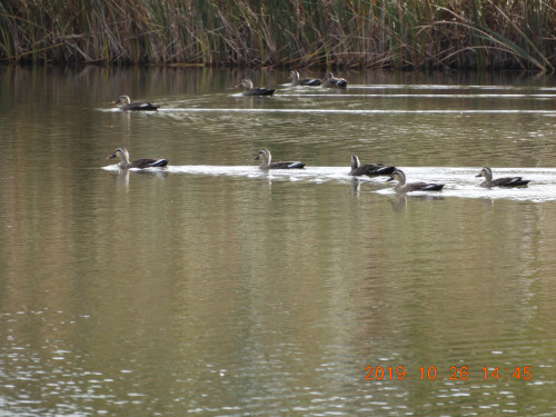 DSCN9791.JPG