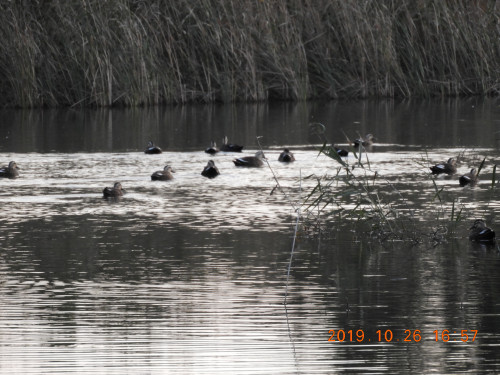 DSCN9799.JPG