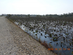 DSCN9823.JPG