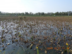 DSCN9824.JPG