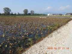 DSCN9825.JPG