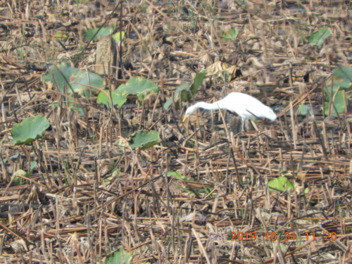DSCN9826.JPG