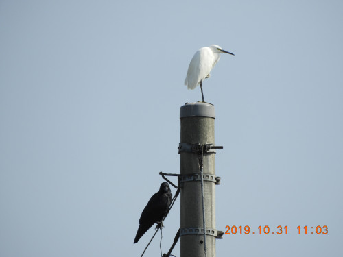 DSCN9816.JPG