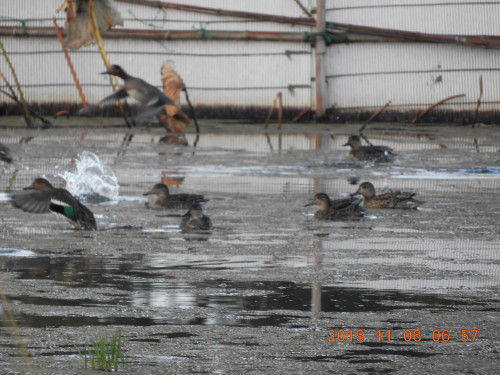 DSCN9875.JPG