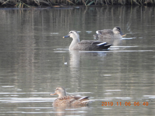 DSCN9873.JPG