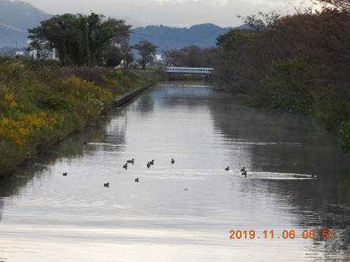 DSCN9874.JPG