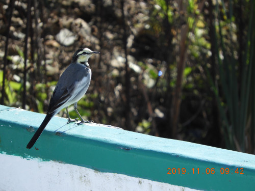 DSCN9887.JPG