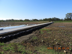 DSCN9884.JPG