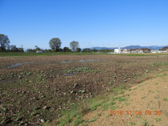 DSCN9885.JPG