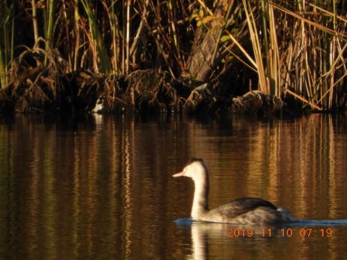 DSCN9915.JPG