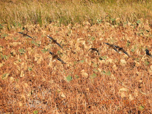 DSCN9910.JPG