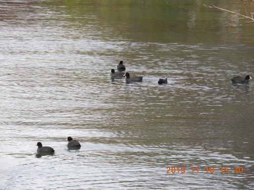 DSCN9927.JPG