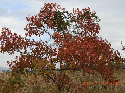 DSCN0027.JPG