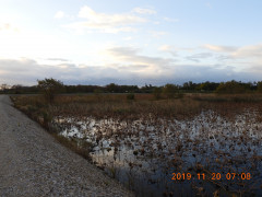 DSCN0058.JPG