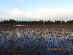 DSCN0059.JPG