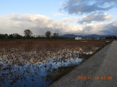DSCN0060.JPG
