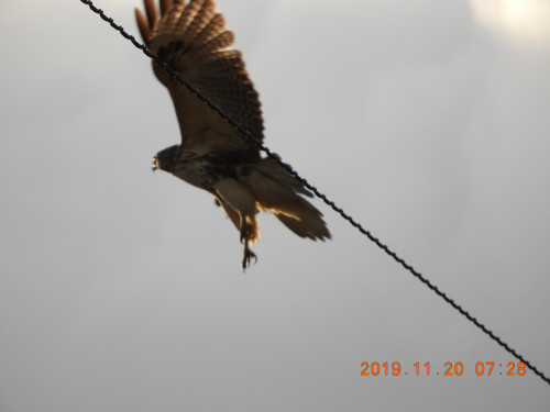 DSCN0074.JPG