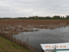 DSCN0128.JPG