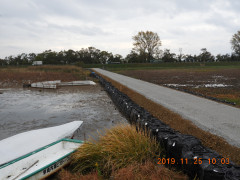 DSCN0129.JPG