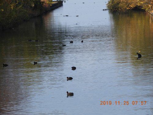 DSCN0098.JPG