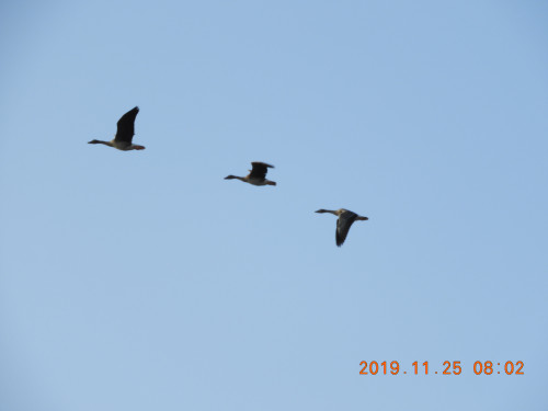 DSCN0099.JPG