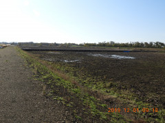 DSCN9983.JPG