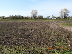 DSCN9984.JPG