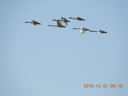 DSCN9982.JPG