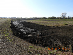 DSCN9986.JPG