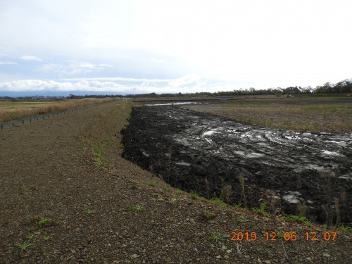 DSCN0026.JPG