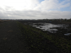 DSCN0035.JPG