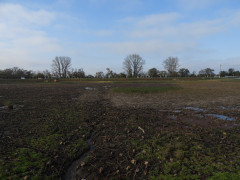 DSCN0036.JPG