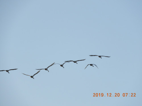 DSCN0061.JPG