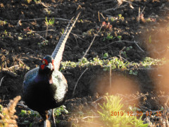DSCN0075.JPG