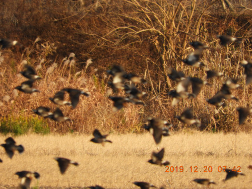 DSCN0083.JPG