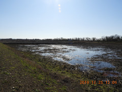 DSCN0103.JPG