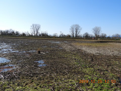 DSCN0102.JPG