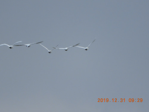 DSCN0006.JPG