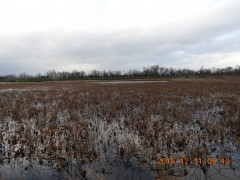 DSCN9998.JPG