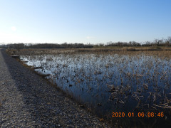 DSCN0010.JPG