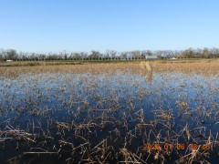 DSCN0011.JPG
