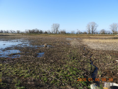 DSCN0014.JPG