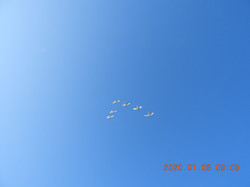 DSCN0016.JPG