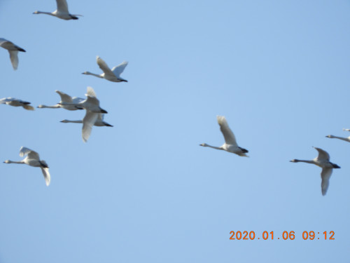 DSCN0020.JPG