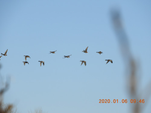 DSCN0032.JPG